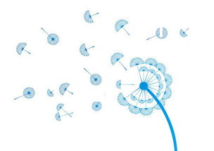 攜手長(zhǎng)春網(wǎng)站建設(shè)，打造企業(yè)專屬的數(shù)字化門戶