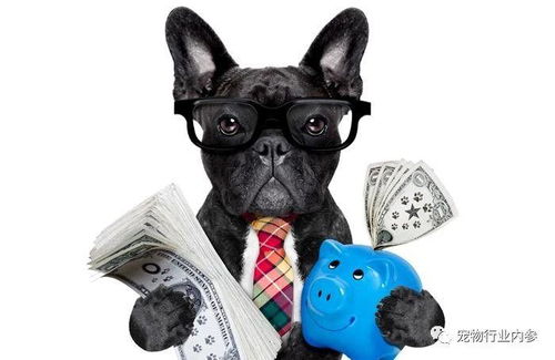 美國寵物食品市場持續(xù)增長 人類食品公司跨界寵物食品領域