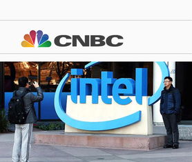 新西蘭政府否決中國公司收購牧場申請