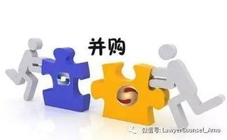 企業(yè)并購中常見的九大問題