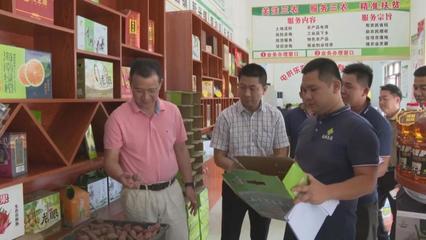 省商務廳來我縣調研供銷合作社及電商發(fā)展情況