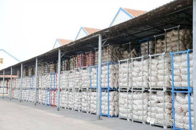 一棵樹、一塊板、一頭蒜,邳州現(xiàn)代農(nóng)業(yè)這篇文章大有所為-財經(jīng)頻道-手機(jī)