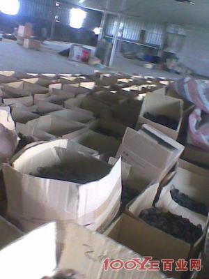 惠州專業(yè)二手設(shè)備回收 高價收購，信譽保障